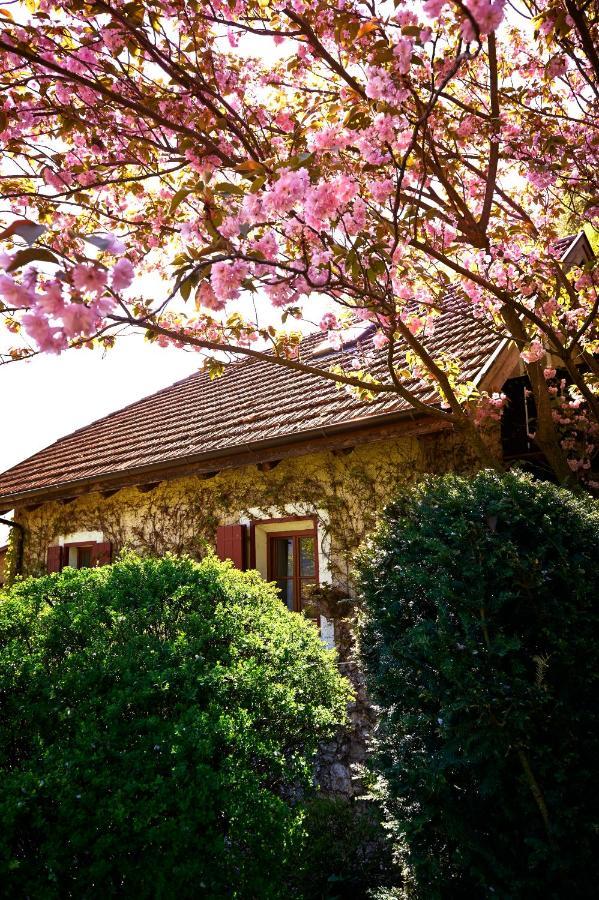 Ferienapartments Gutshof Brandis ラナ エクステリア 写真